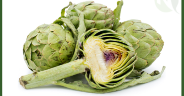 Egyptian Artichoke