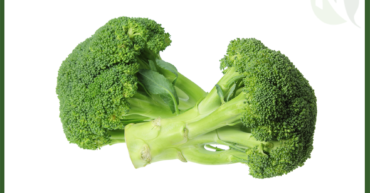 Egyptian Broccoli