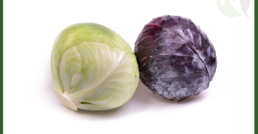 Egyptian Cabbage