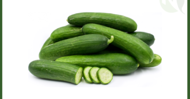 Egyptian Cucumber