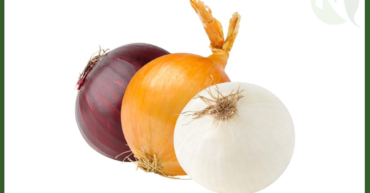 Egyptian Dry Onion