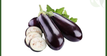 Egyptian Eggplant