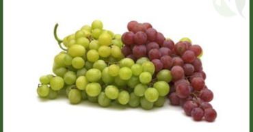 Egyptian Grapes