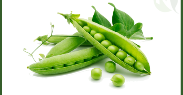 Egyptian Green Peas