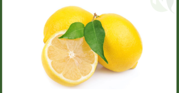 Egyptian Lemon