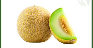 Egyptian Melon