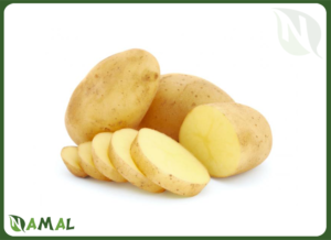 Egyptian Potatoes – NAMAL for Import & Export